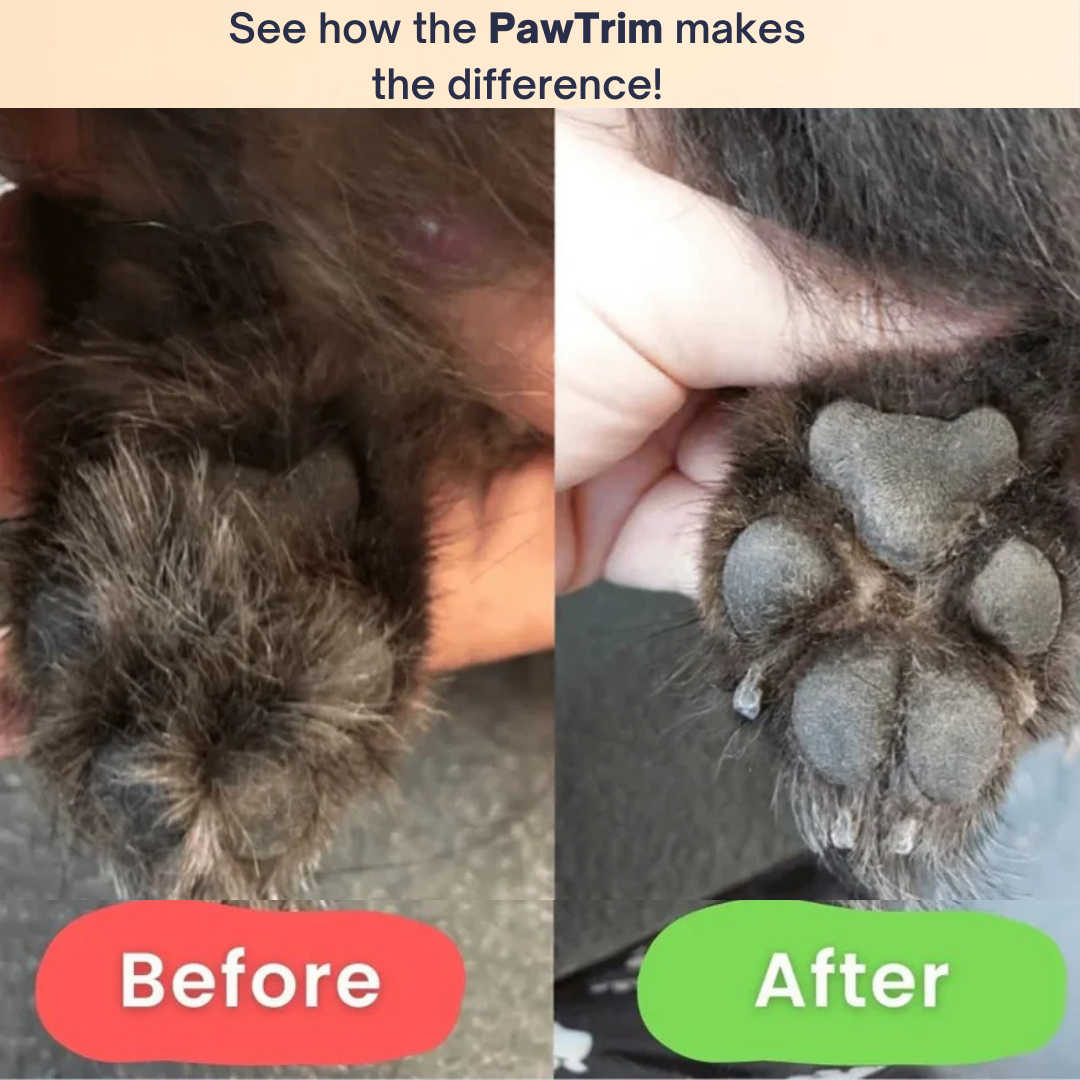 PawFinesse™ – Schmerzfreie Pfotenpflege in Sekunden